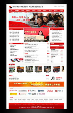 武汉市青少年发展基金会 数字化公益的典范